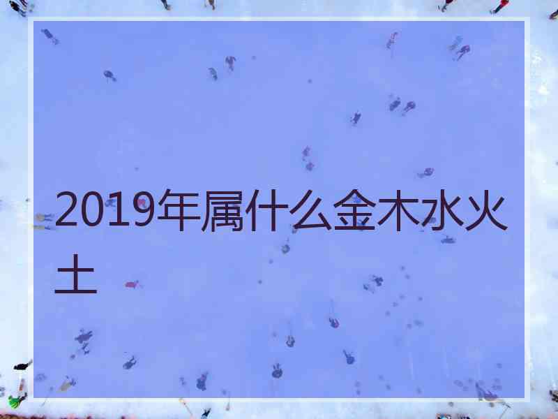 2019年属什么金木水火土