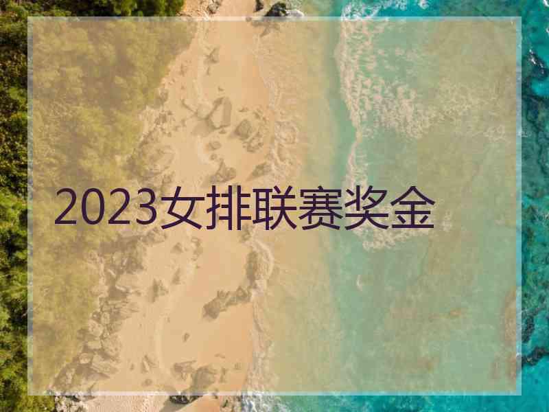 2023女排联赛奖金