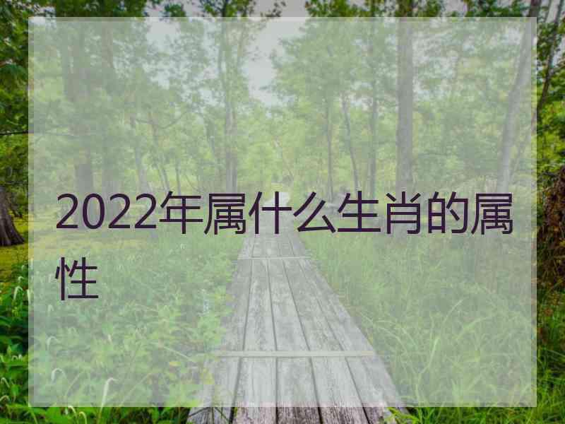 2022年属什么生肖的属性