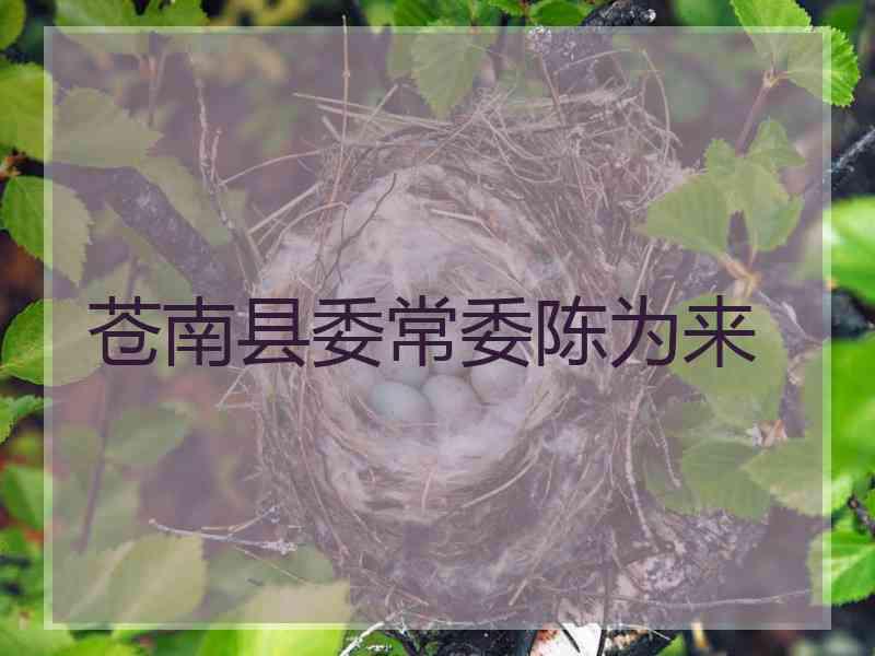 苍南县委常委陈为来