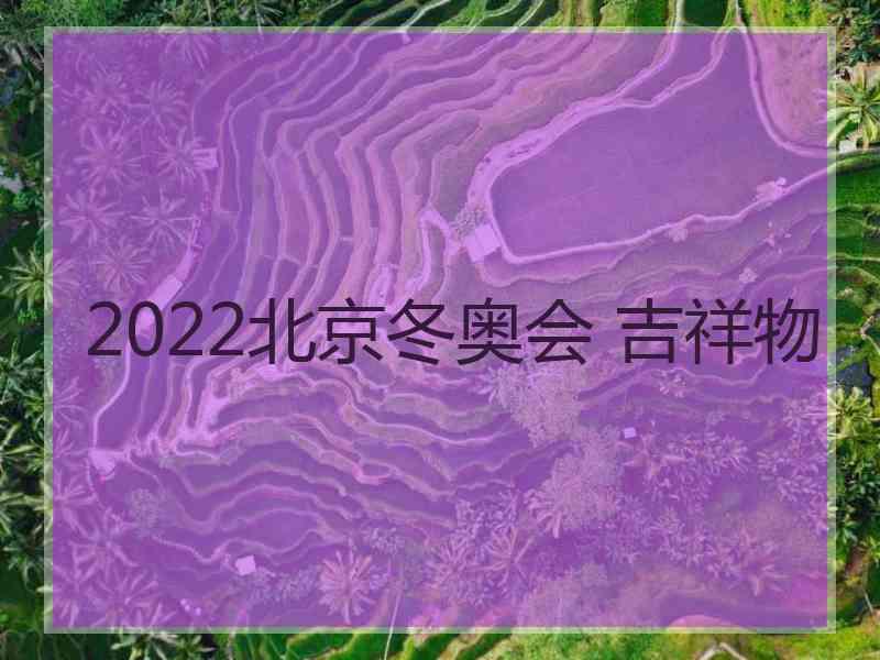 2022北京冬奥会 吉祥物