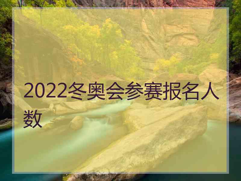 2022冬奥会参赛报名人数