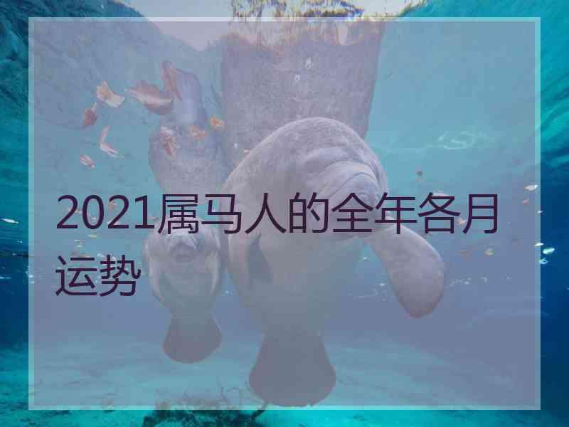 2021属马人的全年各月运势