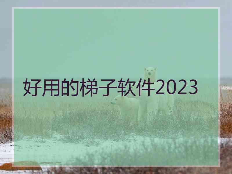 好用的梯子软件2023