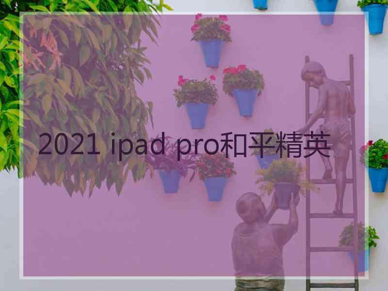 2021 ipad pro和平精英