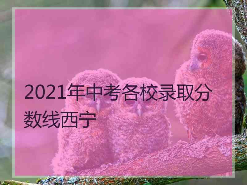 2021年中考各校录取分数线西宁