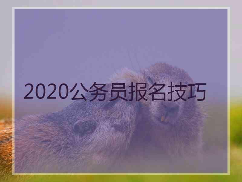 2020公务员报名技巧