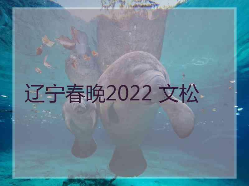 辽宁春晚2022 文松