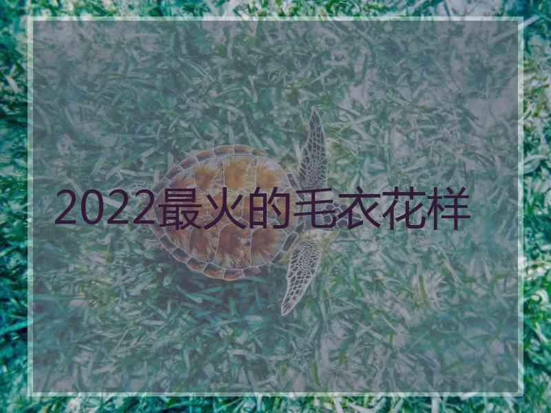 2022最火的毛衣花样