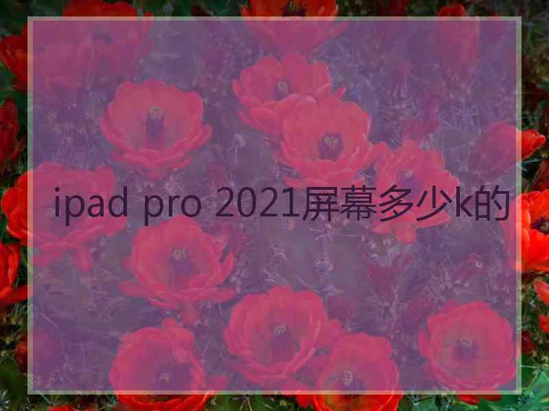 ipad pro 2021屏幕多少k的