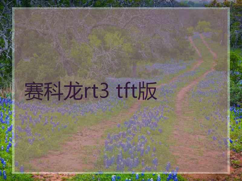 赛科龙rt3 tft版