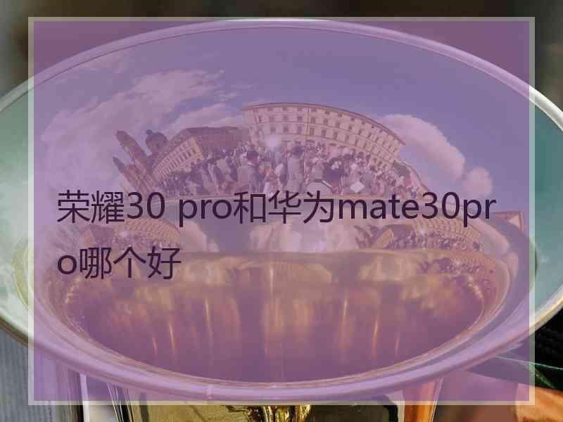 荣耀30 pro和华为mate30pro哪个好