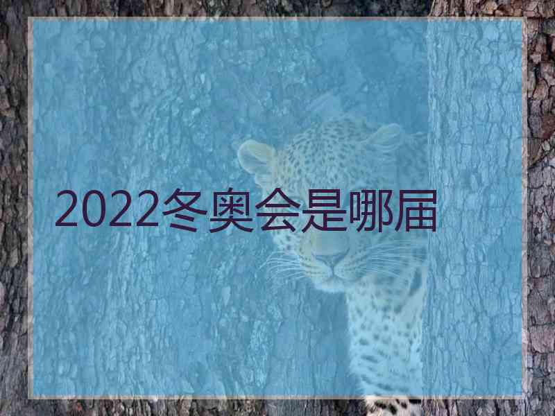 2022冬奥会是哪届