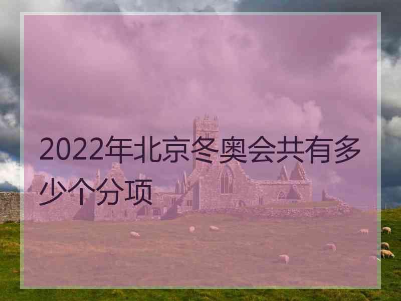 2022年北京冬奥会共有多少个分项