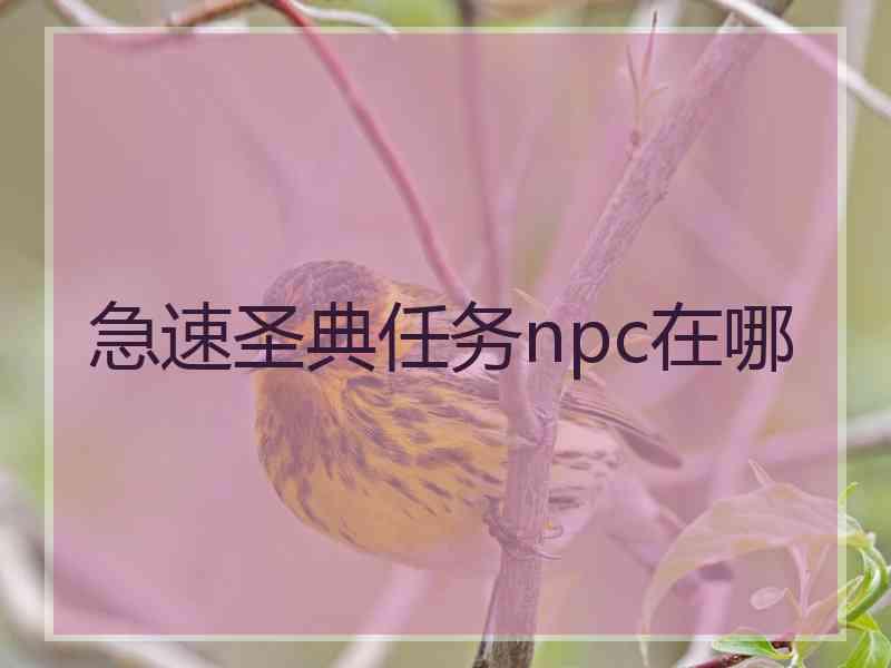 急速圣典任务npc在哪