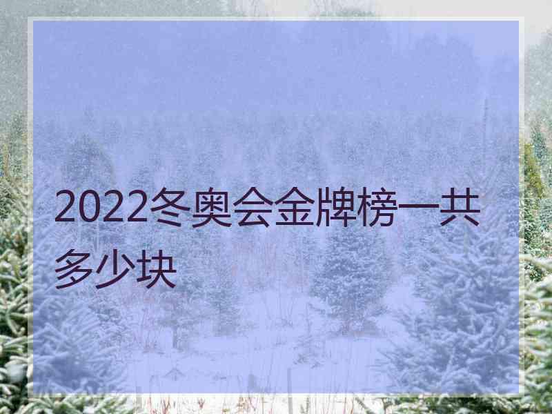 2022冬奥会金牌榜一共多少块