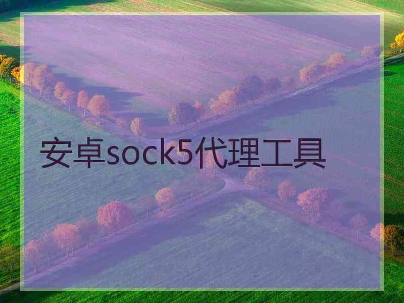 安卓sock5代理工具