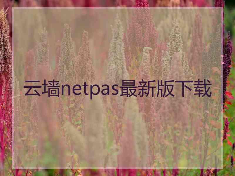 云墙netpas最新版下载