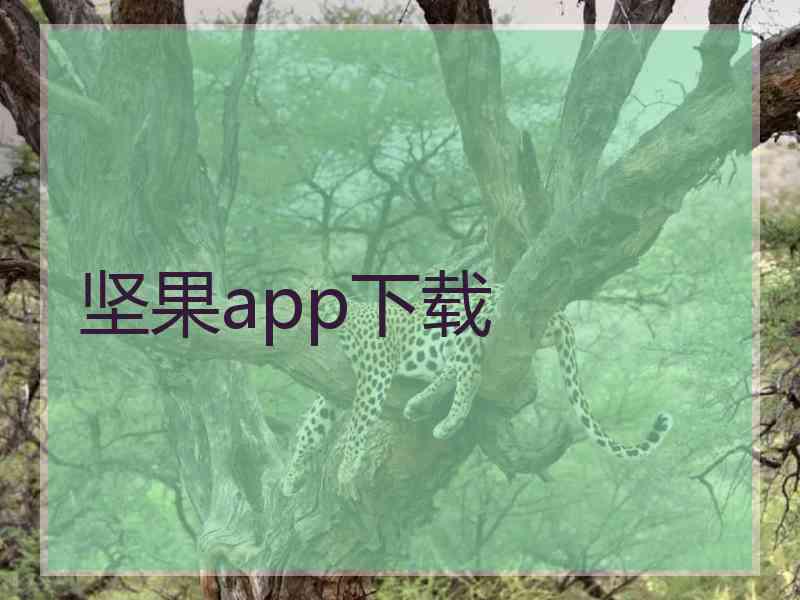 坚果app下载