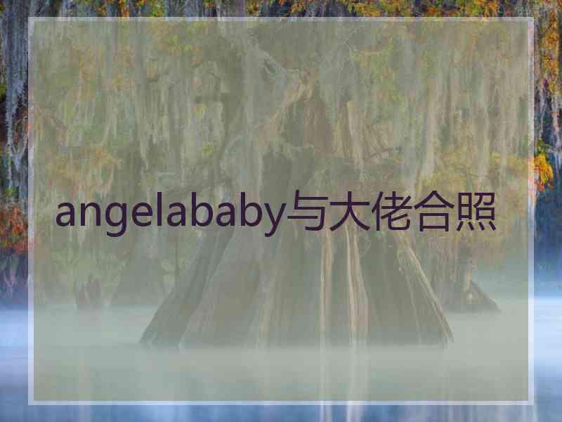 angelababy与大佬合照