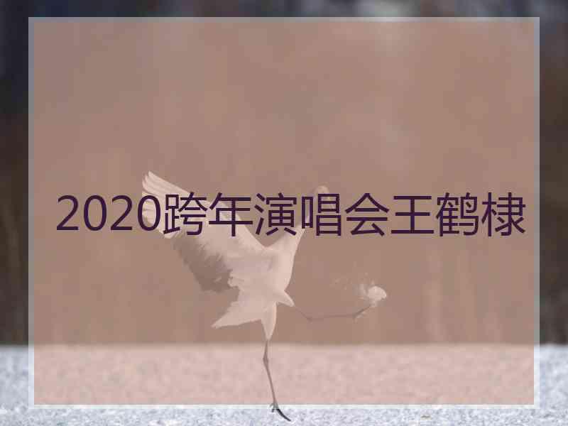 2020跨年演唱会王鹤棣