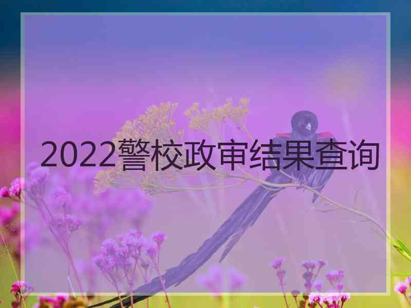 2022警校政审结果查询