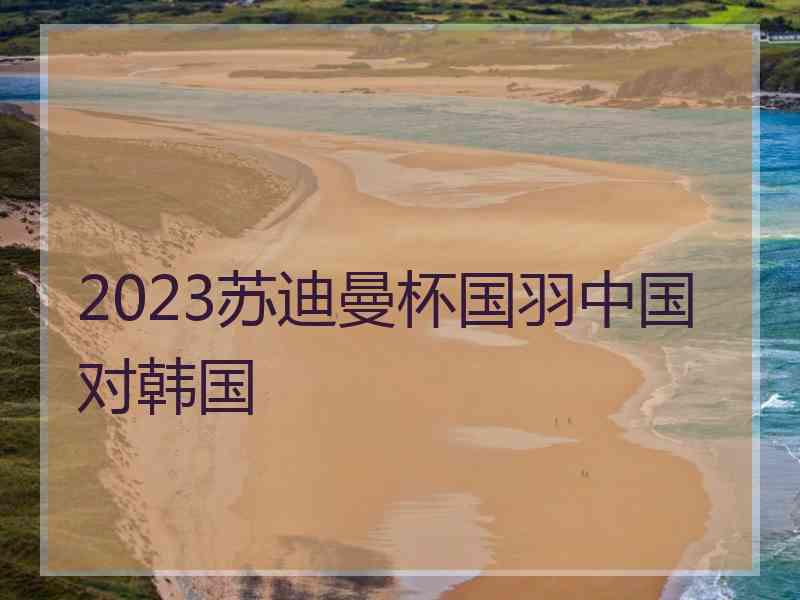 2023苏迪曼杯国羽中国对韩国