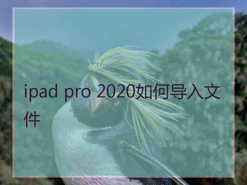 ipad pro 2020如何导入文件