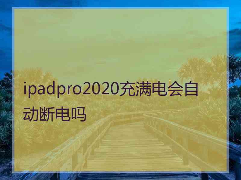 ipadpro2020充满电会自动断电吗