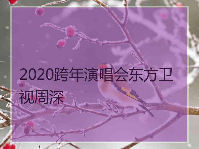 2020跨年演唱会东方卫视周深