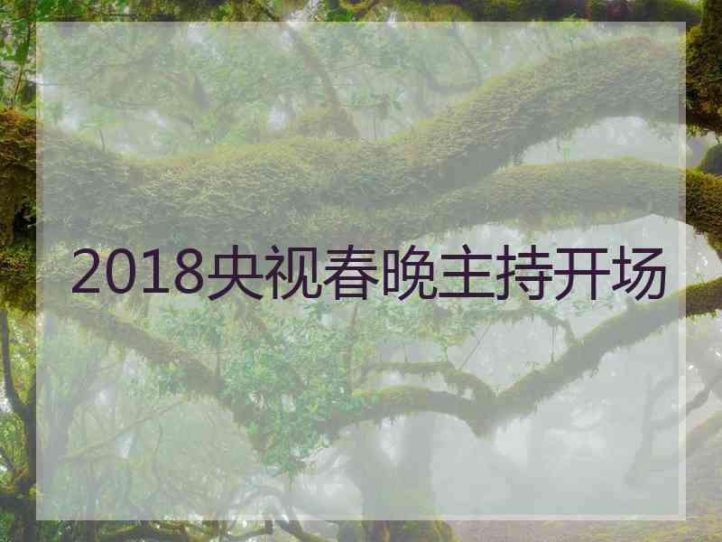 2018央视春晚主持开场