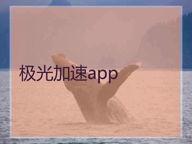 极光加速app