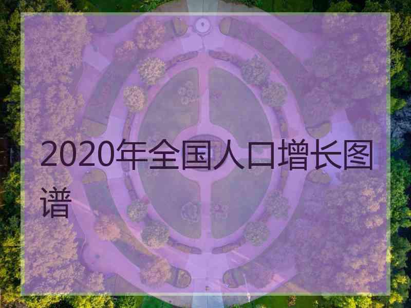 2020年全国人口增长图谱