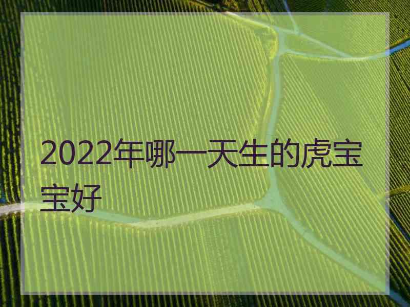 2022年哪一天生的虎宝宝好