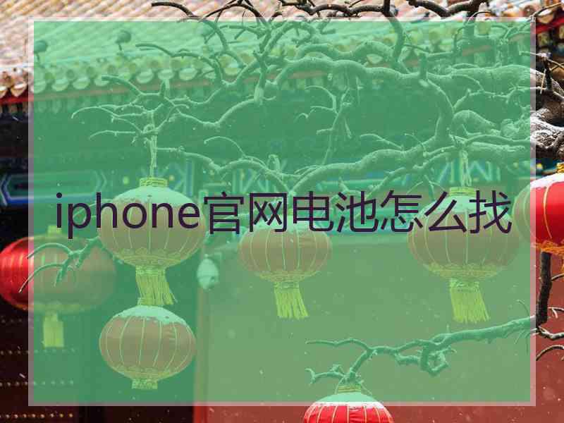 iphone官网电池怎么找