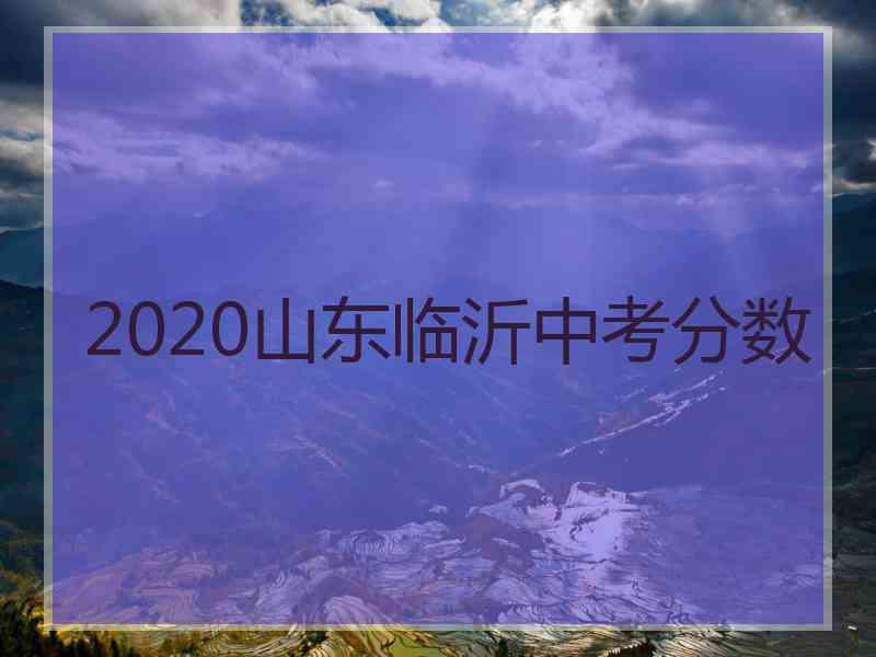 2020山东临沂中考分数