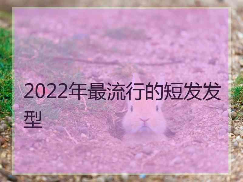 2022年最流行的短发发型