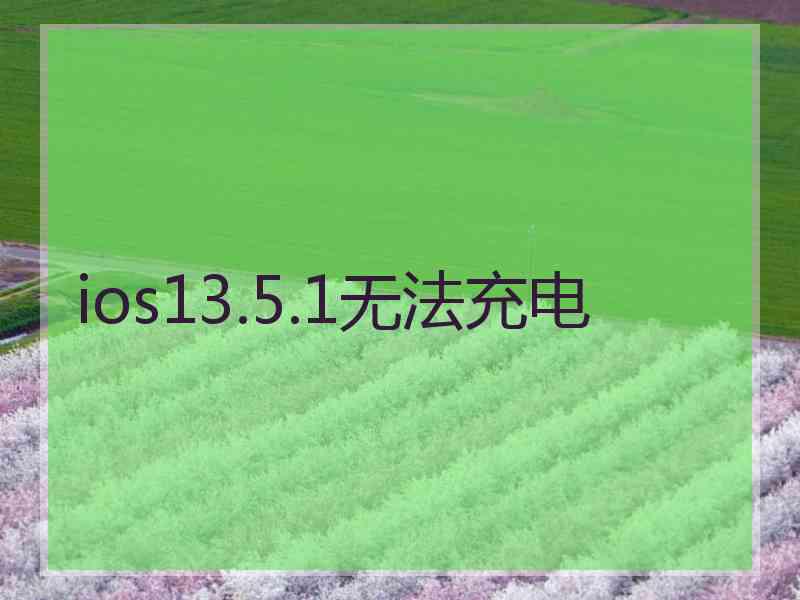 ios13.5.1无法充电