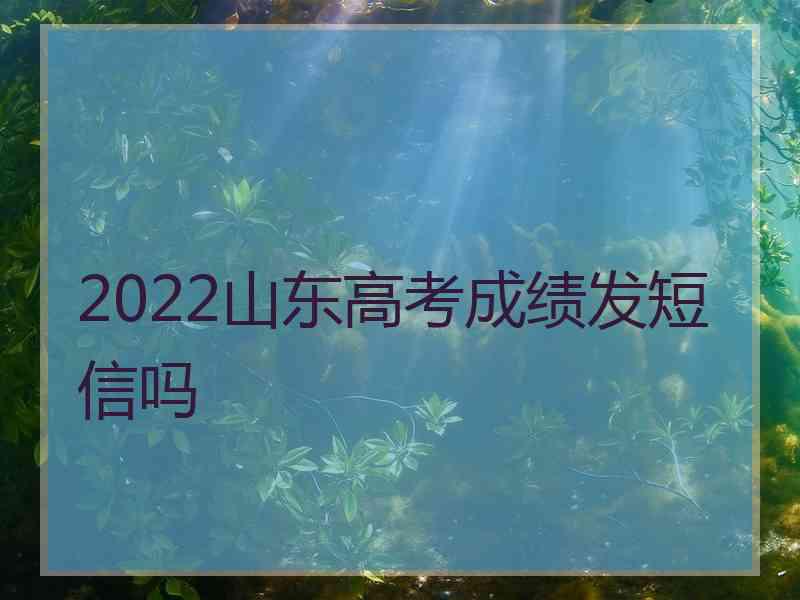 2022山东高考成绩发短信吗