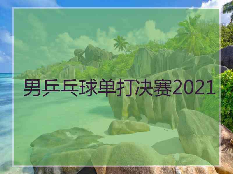 男乒乓球单打决赛2021