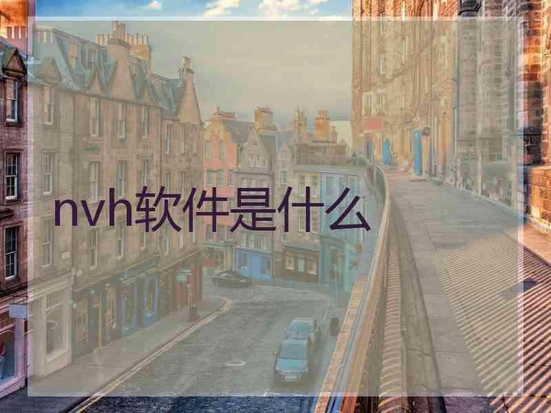 nvh软件是什么