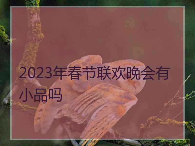 2023年春节联欢晚会有小品吗