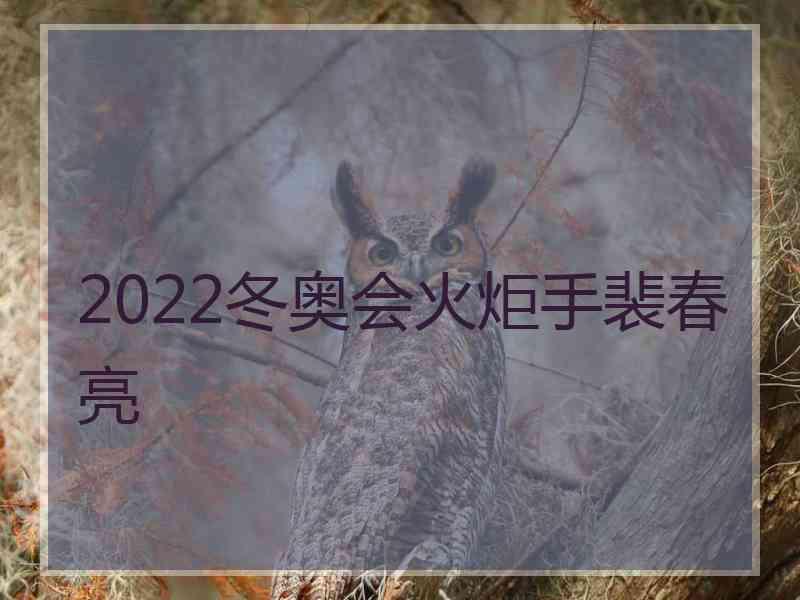 2022冬奥会火炬手裴春亮