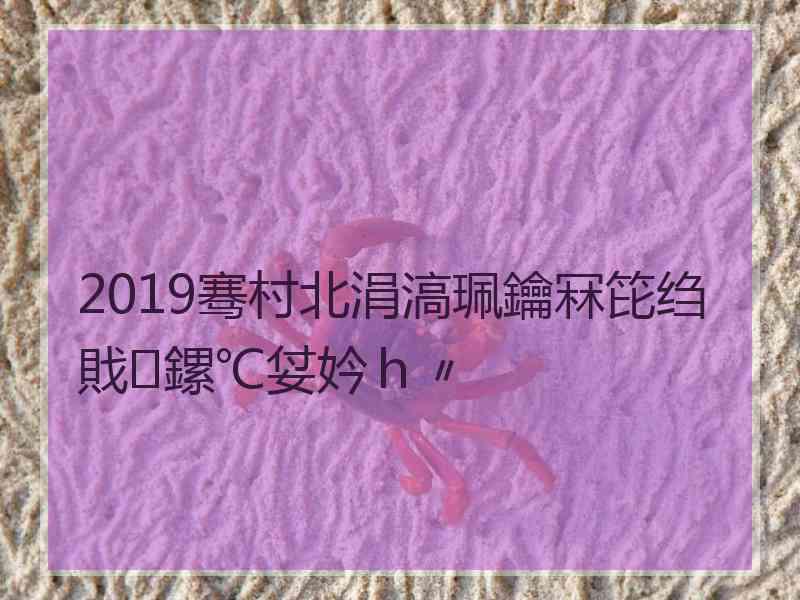 2019骞村北涓滈珮鑰冧笓绉戝鏍℃姇妗ｈ〃