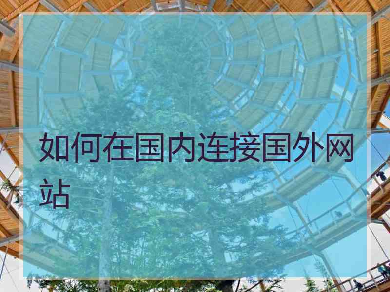 如何在国内连接国外网站