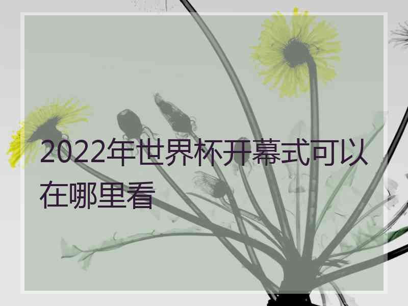 2022年世界杯开幕式可以在哪里看