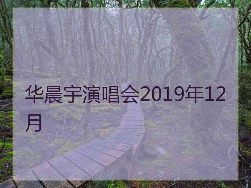 华晨宇演唱会2019年12月