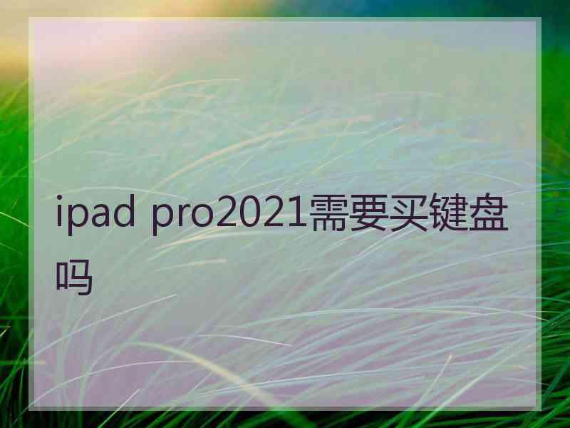 ipad pro2021需要买键盘吗