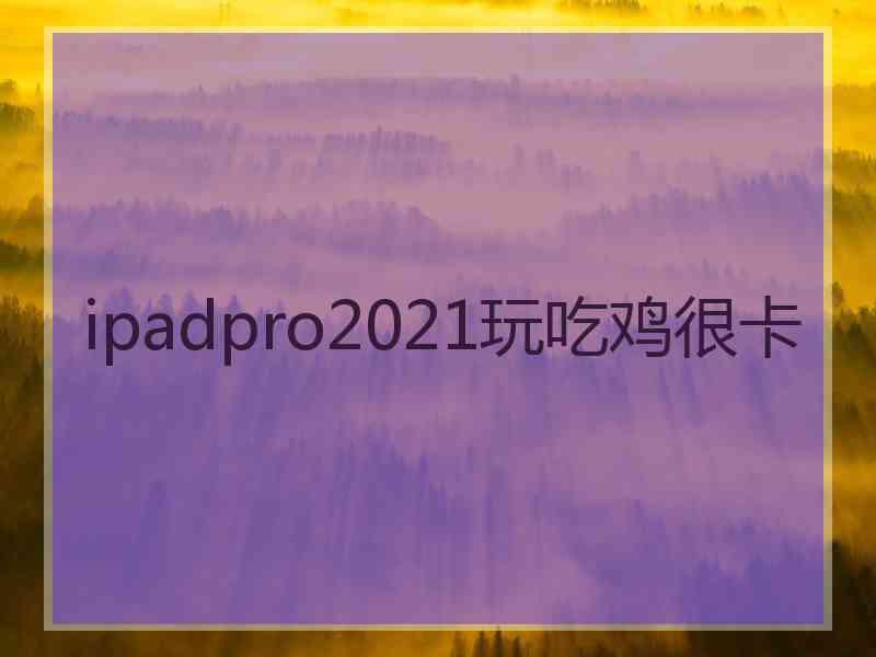 ipadpro2021玩吃鸡很卡