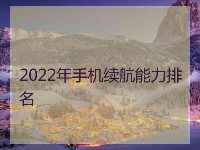 2022年手机续航能力排名